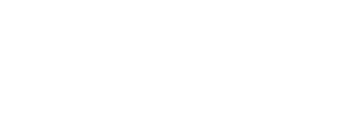 walletonlogoblanco